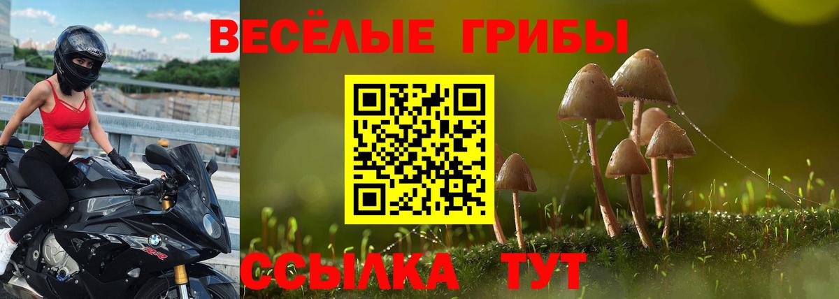 Галлюциногенные грибы MAGIC MUSHROOMS Советск