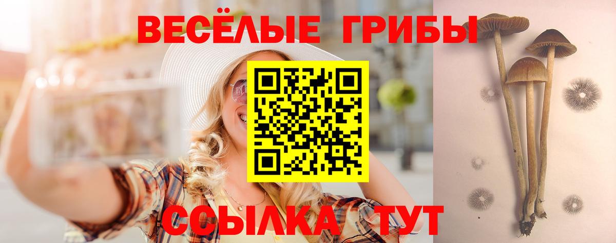 Советск  Псилоцибиновые грибы MAGIC MUSHROOMS  Вход с VPN 